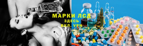 хмурый Ладушкин