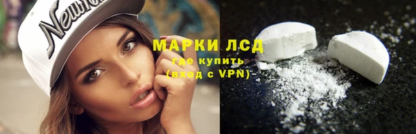 PSILOCYBIN Лагань