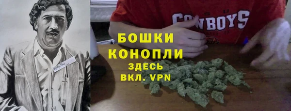 PSILOCYBIN Лагань