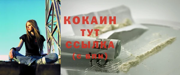 PSILOCYBIN Лагань