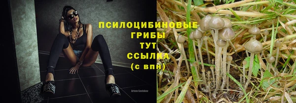 PSILOCYBIN Лагань
