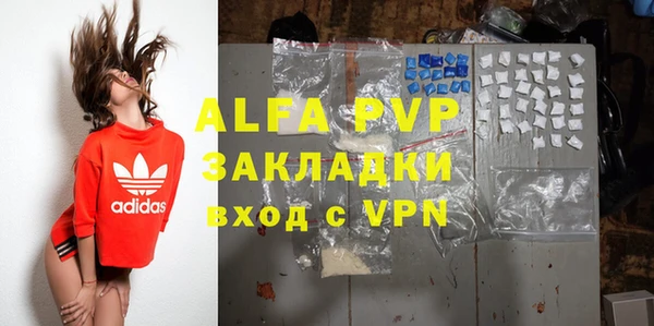 PSILOCYBIN Лагань