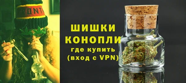 PSILOCYBIN Лагань