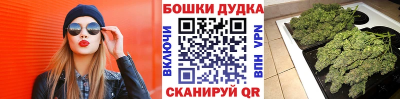 Купить закладки  Лосино-Петровский  Каннабис VHQ 